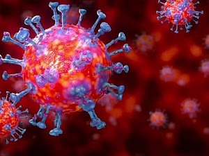 Coronavirus: trebuie evitate plantele antiinflamatoare și uleiurile esențiale?