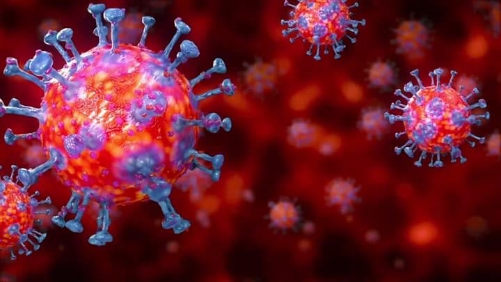 Coronavirus: trebuie evitate plantele antiinflamatoare și uleiurile esențiale?